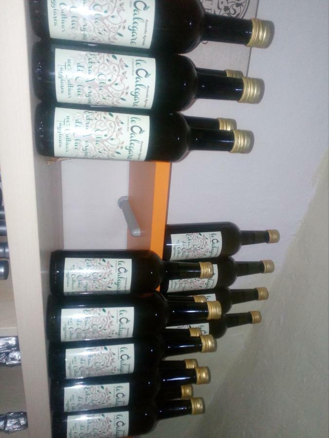 B&B Le Calegare Diano Castello Zewnętrze zdjęcie